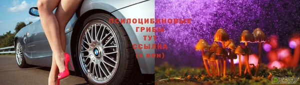 амф Новозыбков