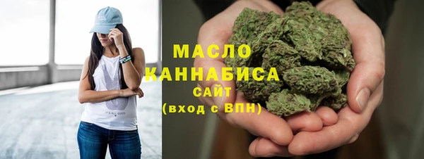 амф Новозыбков