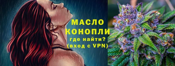 амф Новозыбков