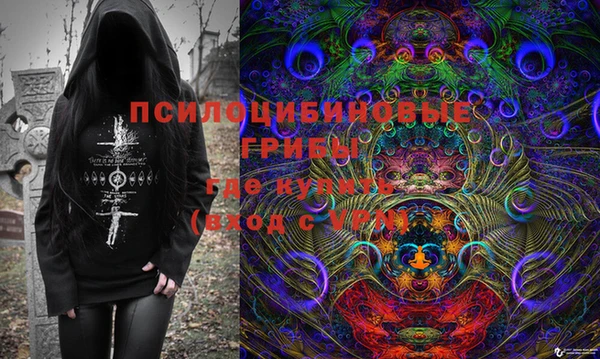 амф Новозыбков